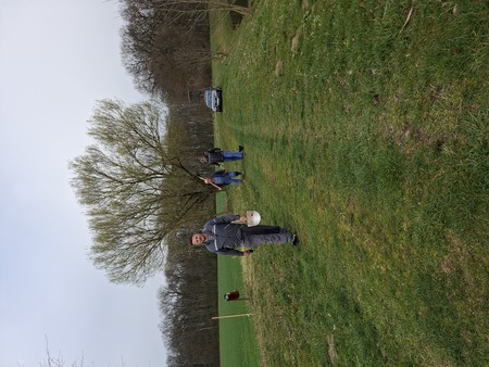 Sajenje medovitih rastlin 7